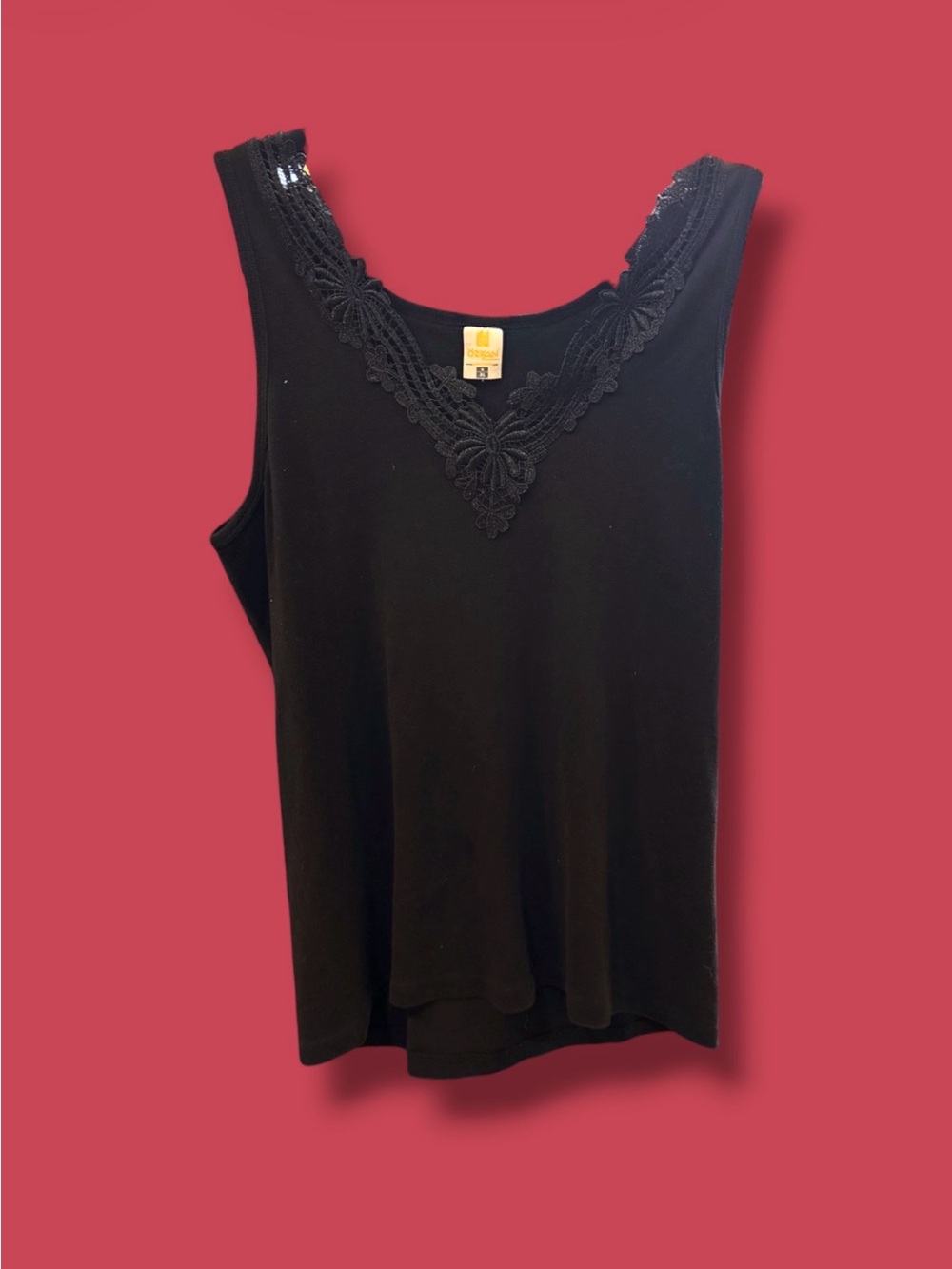 Black Lace-Trim V-Neck Camisole